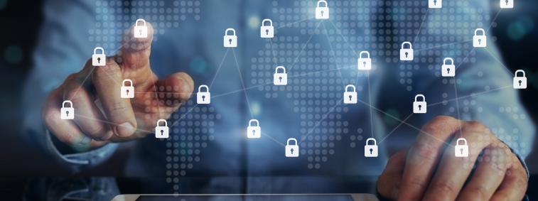 Ciberseguridad en la web